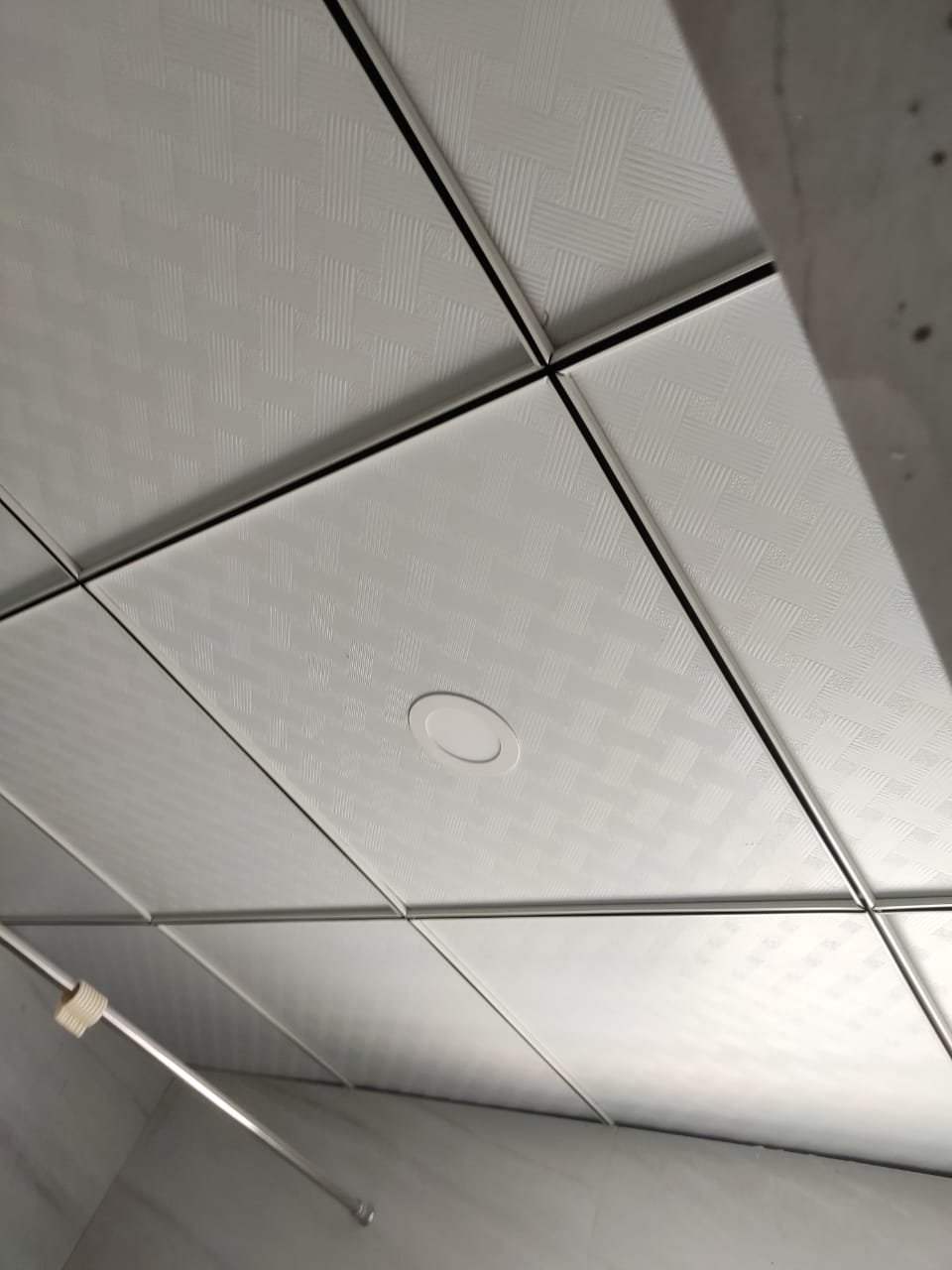 bathroom-Grid-ceiling